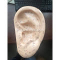 รูปแบบการปรับ EAR